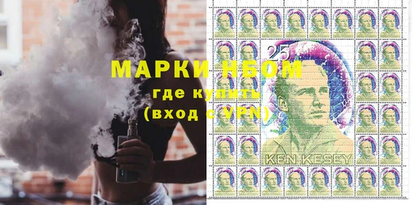 индика Кукмор