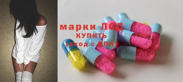 индика Кукмор