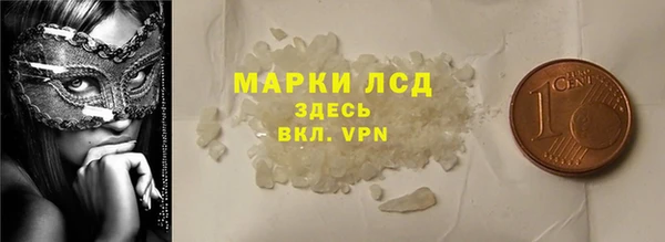 индика Кукмор