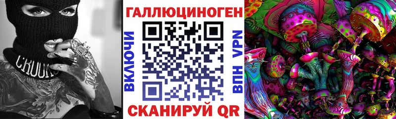 купить закладку  Можга  Псилоцибиновые грибы Cubensis 